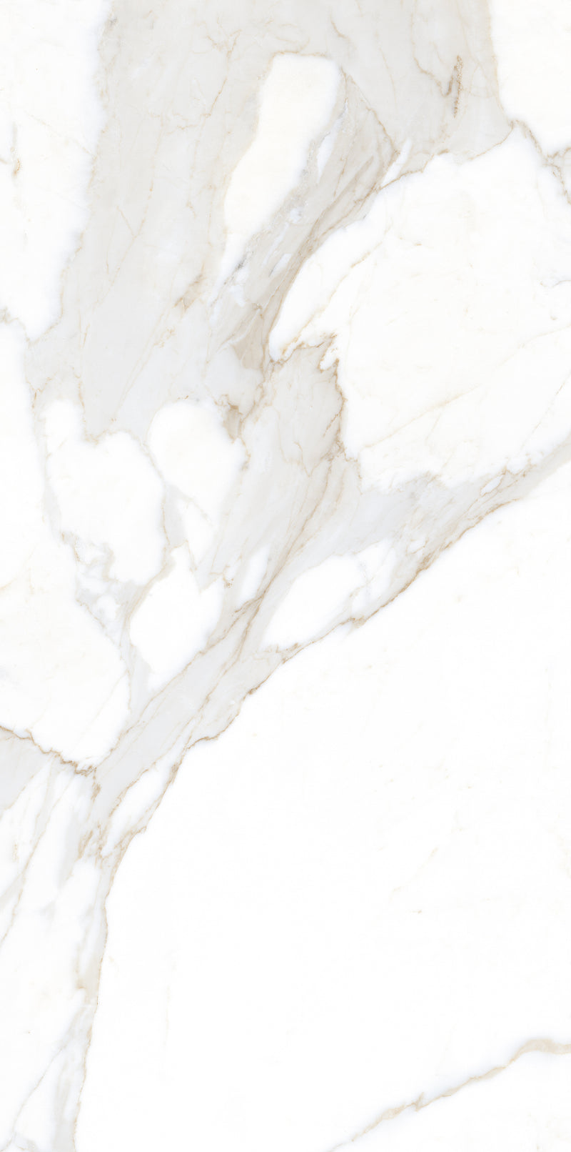 Vloertegel Calacatta Jade Wit 60x120 cm Rechthoek – Mat Gerectificeerd – Marmerlook met Grijze Adering