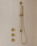 Caral inbouwthermostaat 2 stopkranen compleet met Beam hoofddouche glijstang en staafhanddouche geborsteld messing