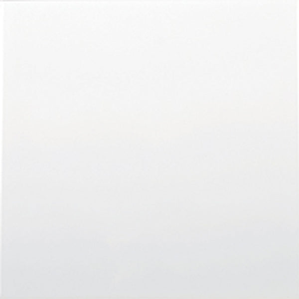 Wandtegel Wit 15x15 cm mat