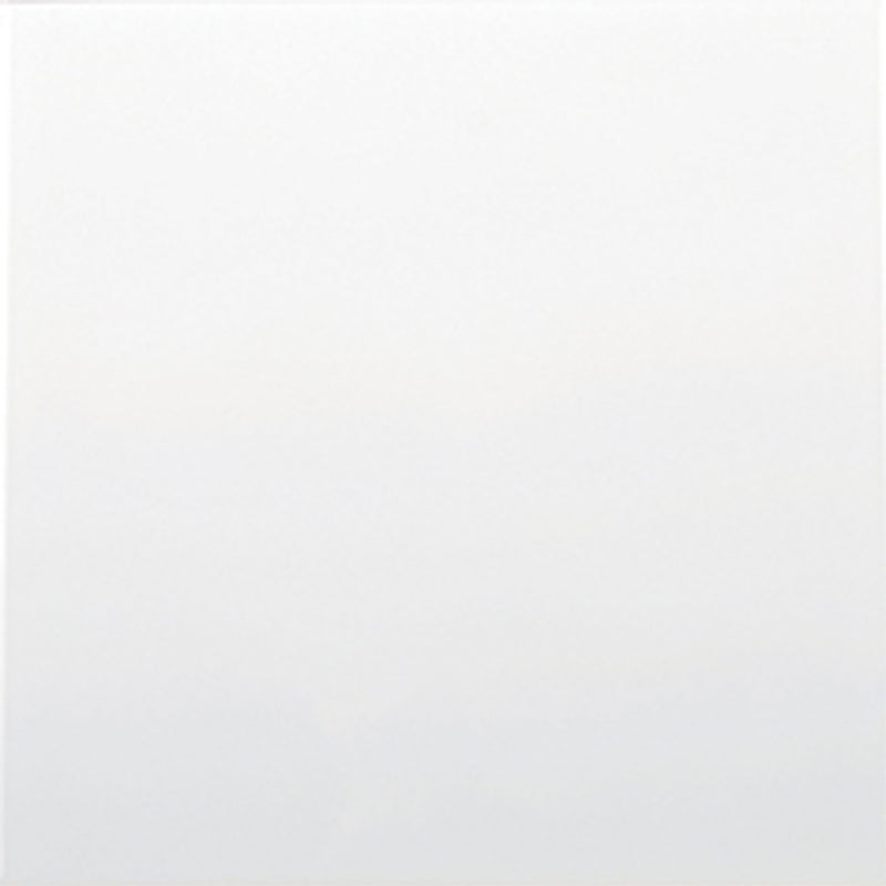 Wandtegel Wit 15x15 cm mat