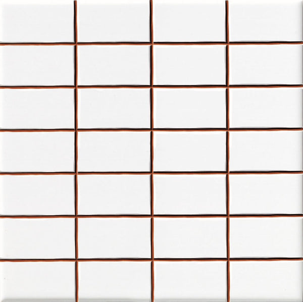 Wandtegel Precorte Blanco 2,5x5 (20x20) cm brillo glans