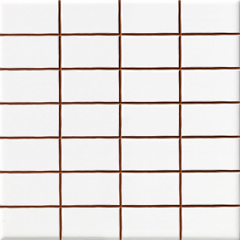 Wandtegel Precorte Blanco 2,5x5 (20x20) cm brillo glans