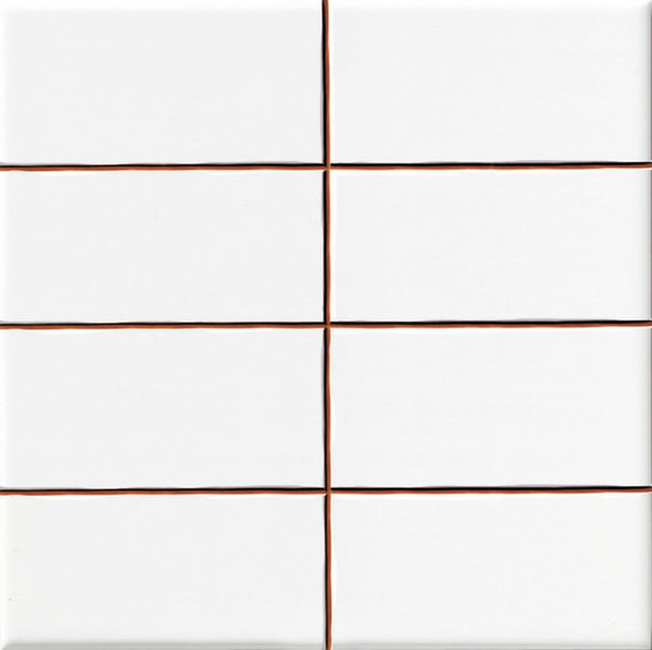 Wandtegel Precorte Blanco 5x10 (20x20) cm brillo glans