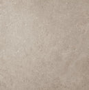 Vloertegel Beren Greige 119,8x119,8 cm