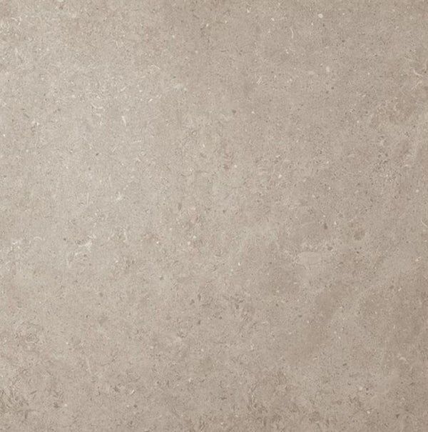 Vloertegel Beren Greige 119,8x119,8 cm