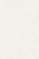 Wandtegel Pisanino Branco 33,3x50 cm PN01R