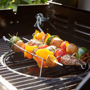 GasBBQ Landmann Triton MaxX PTS 4.1 Zilver