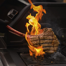 GasBBQ Landmann Triton MaxX PTS 4.1 Zilver