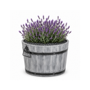 Round planter S Tub Lignum Acacia FSC 37 x 26 cm brushed Gray