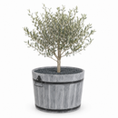 Storm Boomkuip Rond L 55x38 cm Geborsteld Grijs Acaciahout FSC