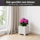 Square planter S Lignum Acacia FSC 30 x 30 cm White