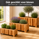 Rectangular planter L Lignum Acacia FSC 100 x 50 x 50 cm Natural oiled