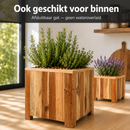 Square planter M Lignum Acacia FSC 40 x 40 cm Natural oiled
