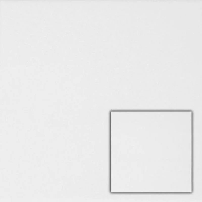 Vloertegel RAL white mat 20 x 20 cm - Vloertegels